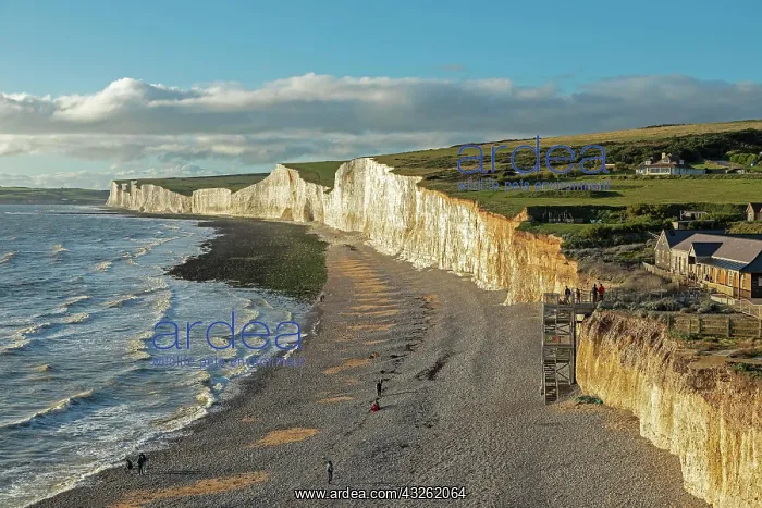 : Birling Gap, The Seven Sisters chalk cliffs, South : Birling Gap, The Seven Sisters chalk cliffs, South