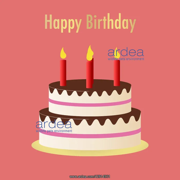 : Birthday party cake with candles : Birthday party cake with candles