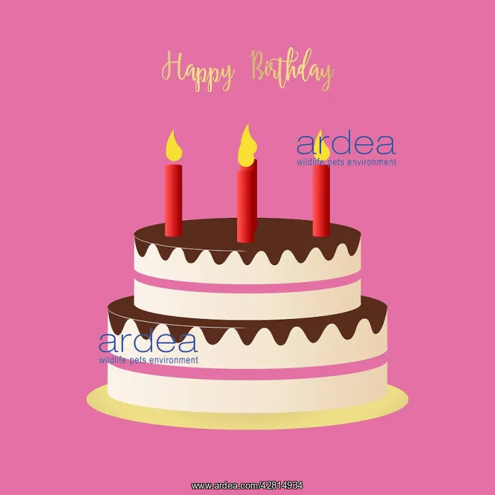 : Birthday party cake with candles : Birthday party cake with candles