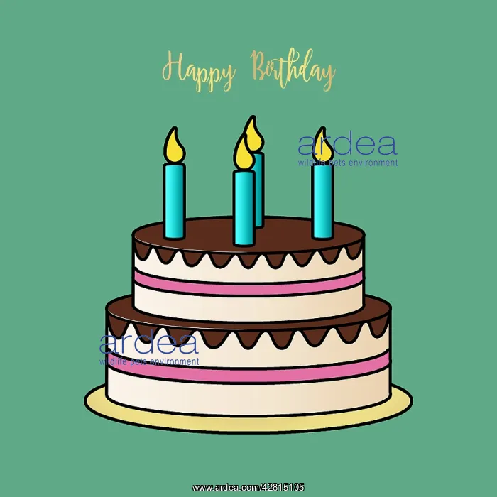 : Birthday party cake with candles : Birthday party cake with candles