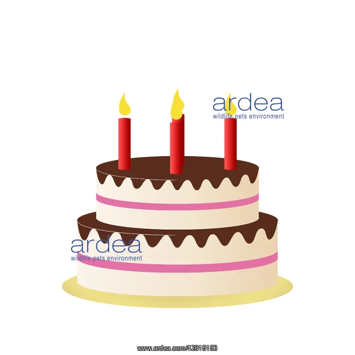 : Birthday party cake with candles : Birthday party cake with candles