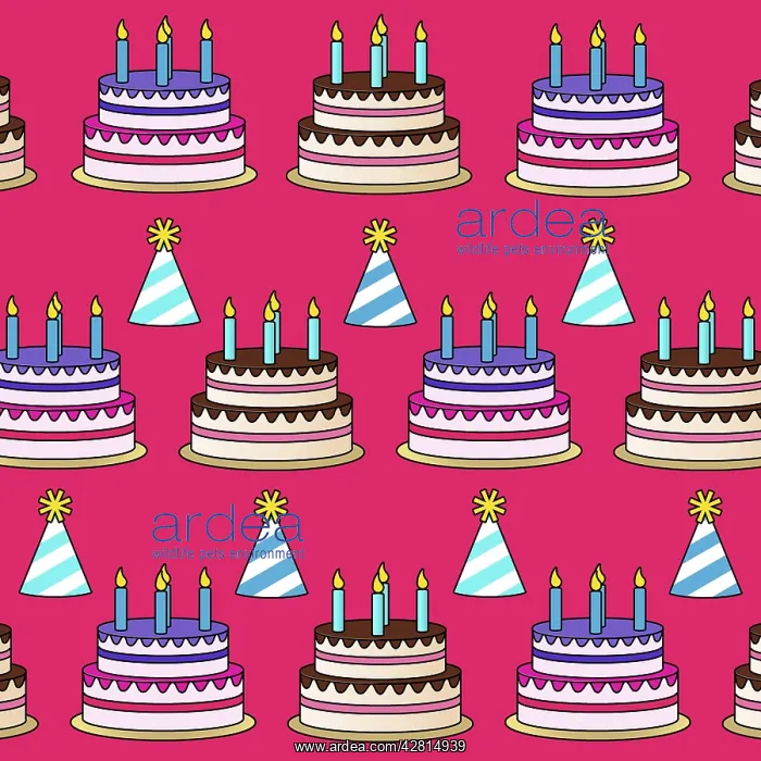 : Birthday party cake and hat pattern : Birthday party cake and hat pattern