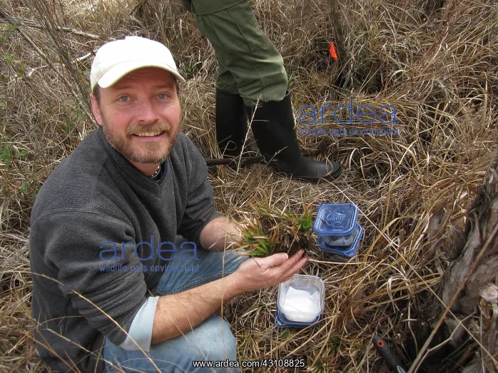 : Bishop's Salamander Research : Bishop's Salamander Research