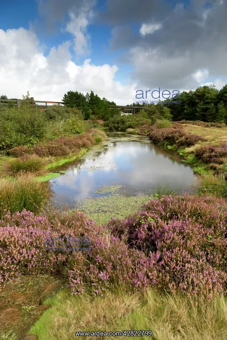 : Bissoe Valley - former Mining area : Bissoe Valley - former Mining area