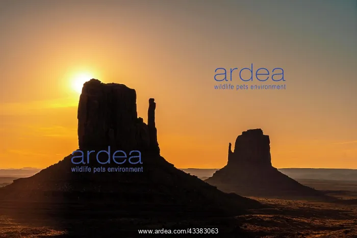 : Detail of a bit of Monument Valley in its beauti : Detail of a bit of Monument Valley in its beauti