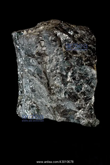 : Bituminous Coal