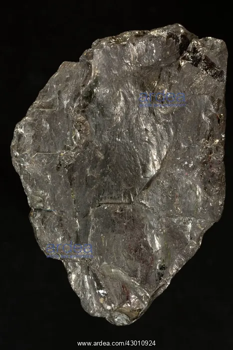 : Bituminous Coal : Bituminous Coal