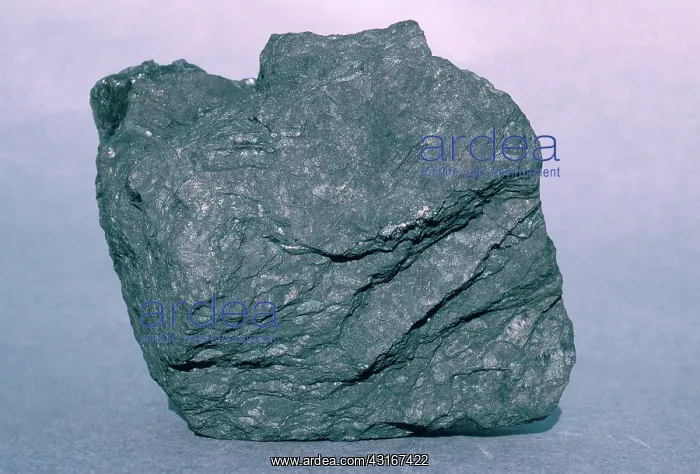: Bituminous Coal : Bituminous Coal