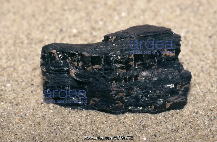 : Bituminous Coal : Bituminous Coal