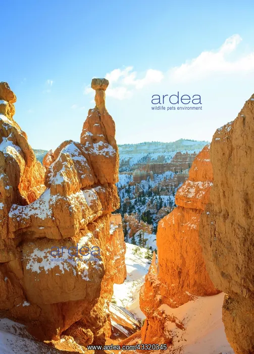 : Bizarre rock formations, rocky landscape with Hoodoos : Bizarre rock formations, rocky landscape with Hoodoos
