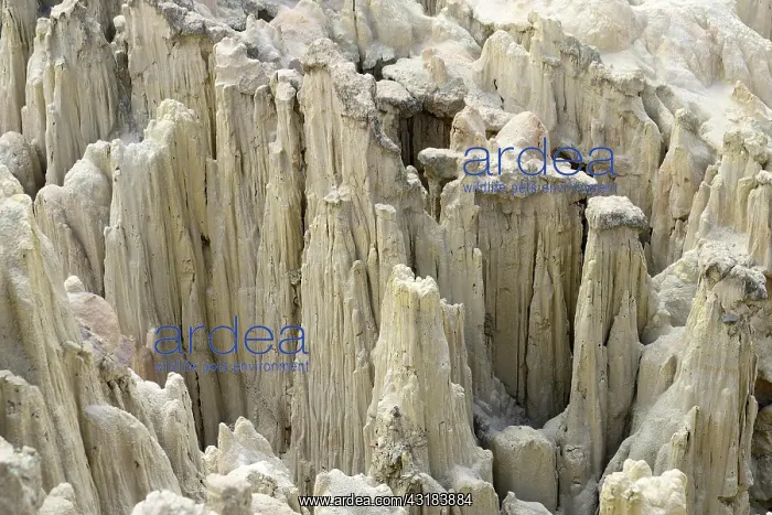 : Bizarre rock formations in Valle de la Luna, La : Bizarre rock formations in Valle de la Luna, La