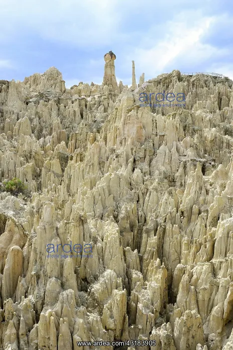 : Bizarre rock formations in Valle de la Luna, La : Bizarre rock formations in Valle de la Luna, La