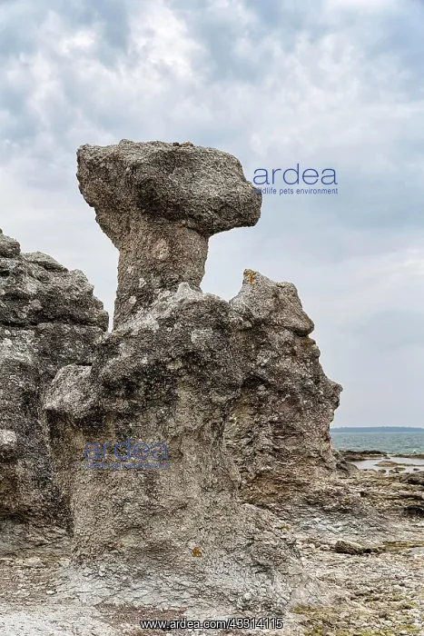 : Bizarre rocket, Raukar, limestone column, rocks : Bizarre rocket, Raukar, limestone column, rocks