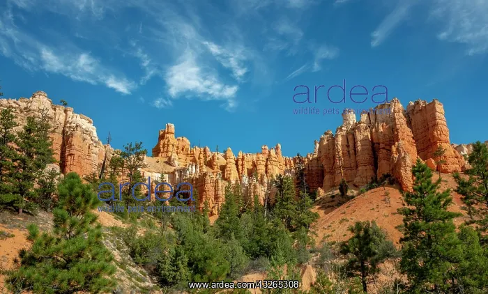 : Bizarre rocky landscape with hoodoos, erosion forms : Bizarre rocky landscape with hoodoos, erosion forms