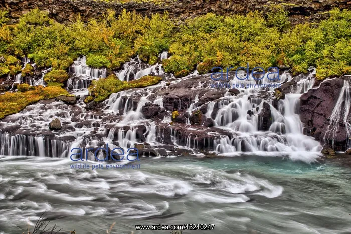 : Bjarnafoss, Iceland : Bjarnafoss, Iceland