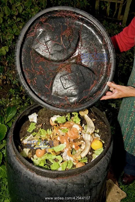 : Black compost bin with active worm population : Black compost bin with active worm population