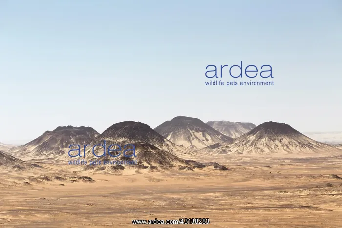 : Black desert, western libyan desert, Egypt, Africa : Black desert, western libyan desert, Egypt, Africa
