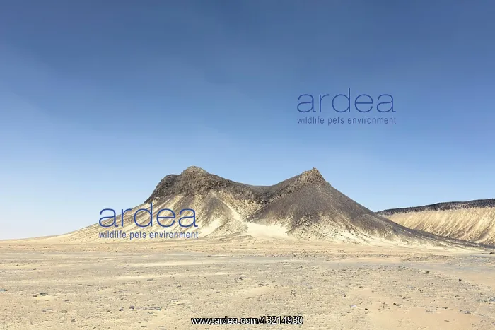 : Black desert, western libyan desert, Egypt, Africa : Black desert, western libyan desert, Egypt, Africa