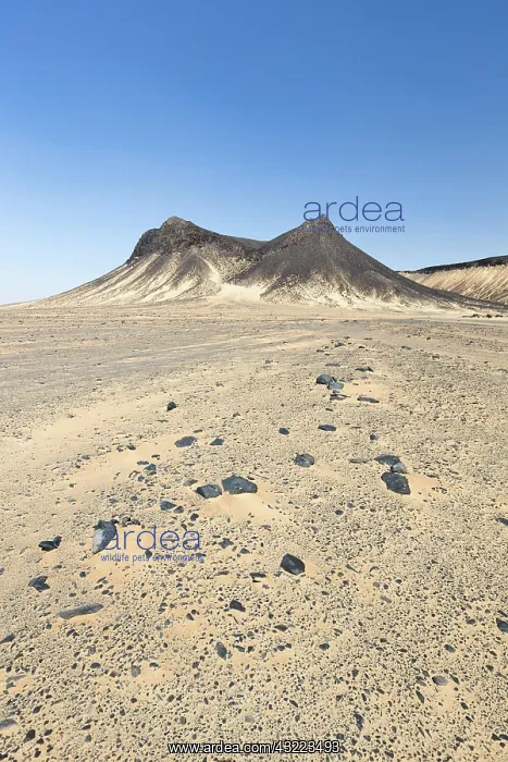  : Black desert, western libyan desert, Egypt, Africa