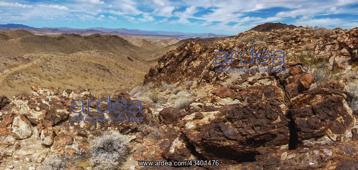: Black Eagle Mine Road, California : Black Eagle Mine Road, California