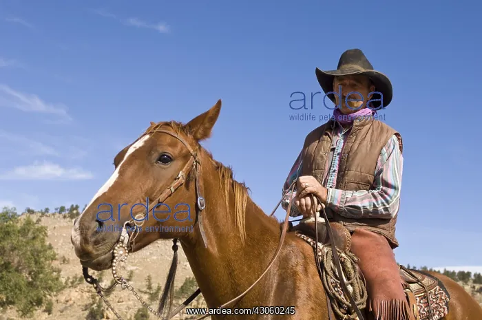 : Black Hills Wild Horse Sanctuary Hot Springs South Dakota : Black Hills Wild Horse Sanctuary Hot Springs South Dakota