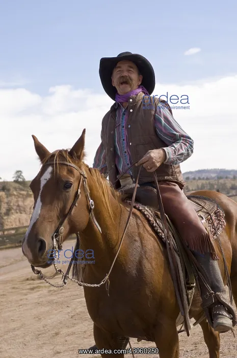 : Black Hills Wild Horse Sanctuary Hot Springs South Dakota : Black Hills Wild Horse Sanctuary Hot Springs South Dakota