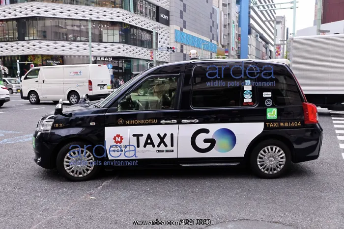 : Black Japanese taxi driving through Ginza, Tokyo, Japan : Black Japanese taxi driving through Ginza, Tokyo, Japan