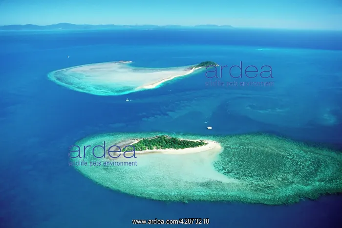 : Black and Langford Islands near Hook Island : Black and Langford Islands near Hook Island