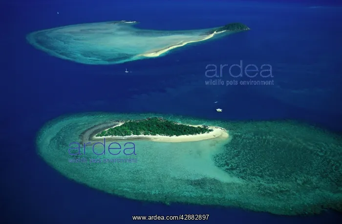 : Black and Langford Islands near Hook Island : Black and Langford Islands near Hook Island