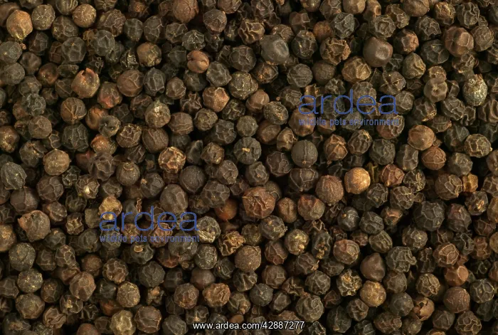  : Black Peppers