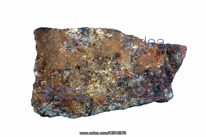 : Black Smoker Chimney fragment from deep : Black Smoker Chimney fragment from deep