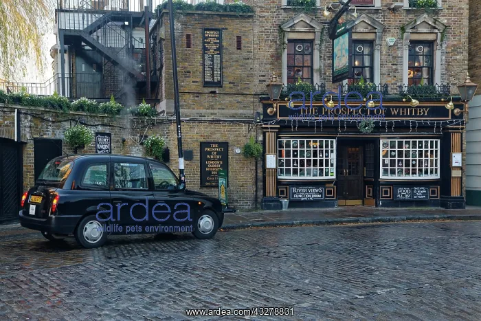 : Black Taxi, Black Cap, in front of Restaurant, Pub : Black Taxi, Black Cap, in front of Restaurant, Pub