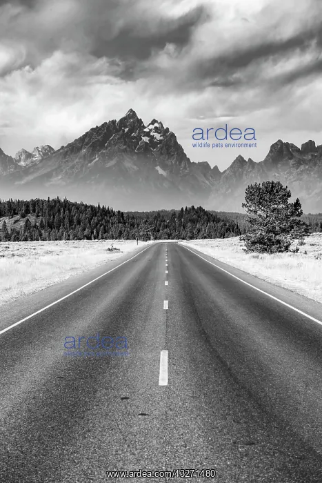 : Black and white, country road in front of rugged : Black and white, country road in front of rugged
