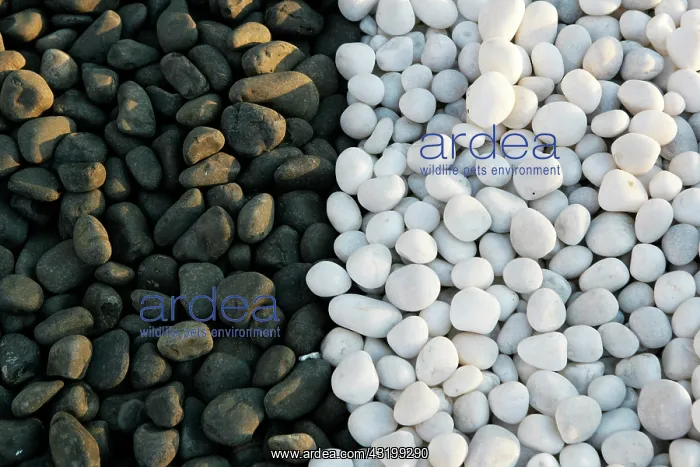 : Black and white pebbles : Black and white pebbles