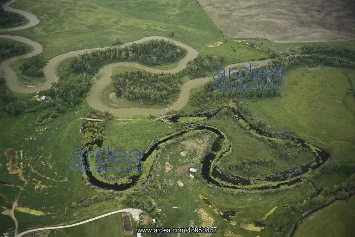 : Blackfoot River Valley : Blackfoot River Valley