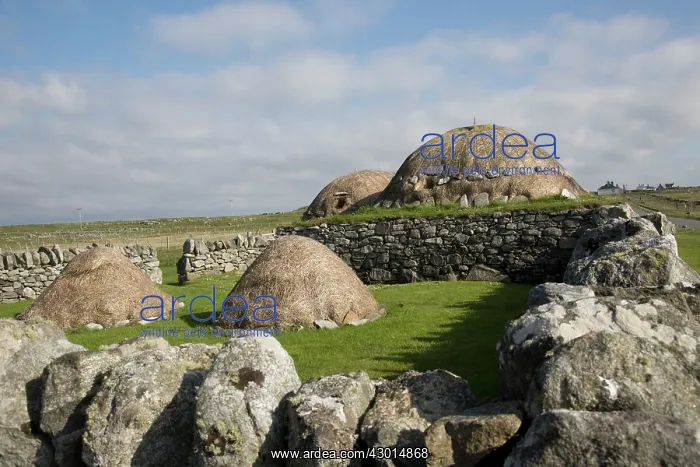 : Blackhouse : Blackhouse