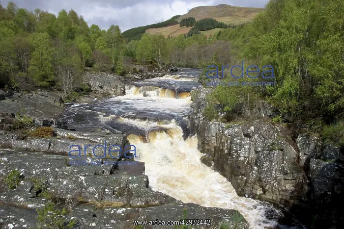: Blackwater Falls at Blackwater River : Blackwater Falls at Blackwater River