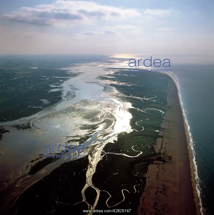 : Blakeney Point, Norfolk : Blakeney Point, Norfolk