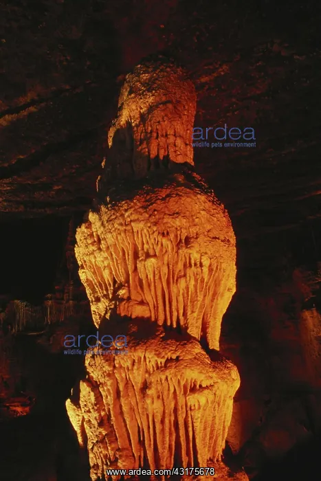 : Blanchard Springs Caverns : Blanchard Springs Caverns