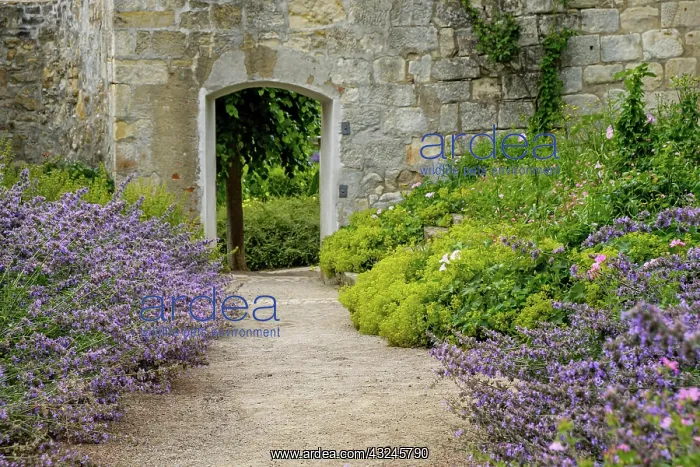 : Blankenburg Castle Park in the Harz Mountains : Blankenburg Castle Park in the Harz Mountains