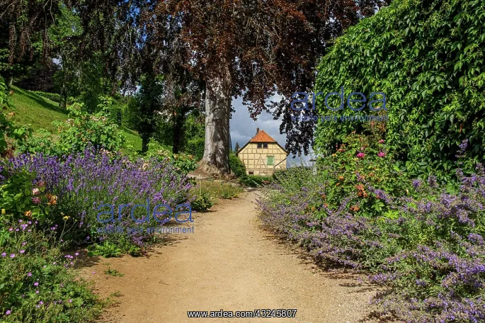  : Blankenburg Castle Park in the Harz Mountains
