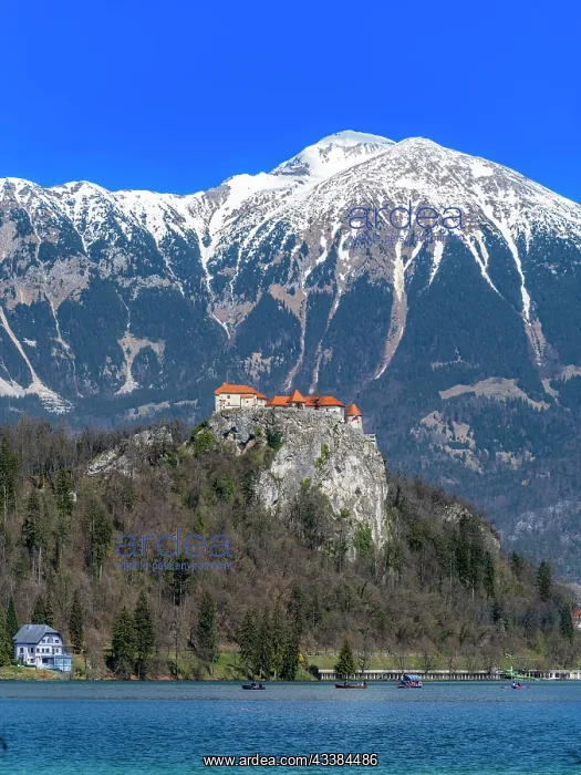 : Bled Castle on Lake Bled, Lake Velda or Lake Felder : Bled Castle on Lake Bled, Lake Velda or Lake Felder