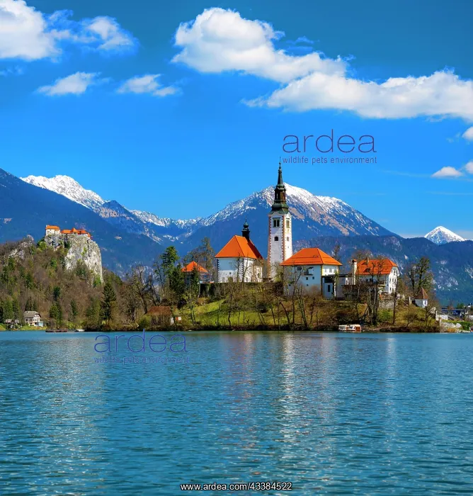 : Bled Castle, St. Mary's Church, Pilgrimage Church of the Ass : Bled Castle, St. Mary's Church, Pilgrimage Church of the Ass