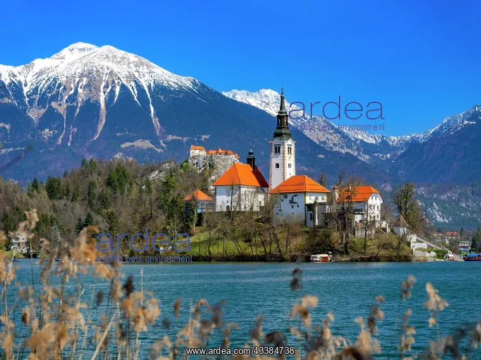 : Bled Castle, St. Mary's Church, Pilgrimage Church of the Ass : Bled Castle, St. Mary's Church, Pilgrimage Church of the Ass