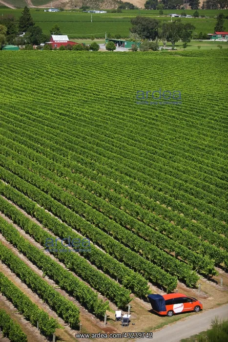  : Blenheim, New Zealand. The northern area