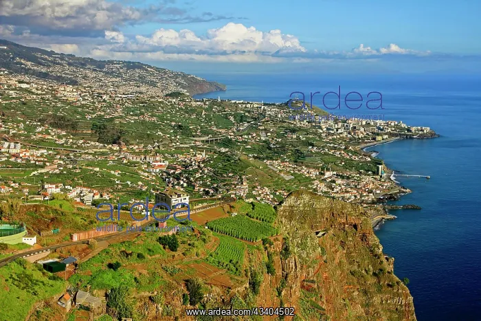 : Blich vom Cabo Giroo 589 m auf Cmara de Lobos : Blich vom Cabo Giroo 589 m auf Cmara de Lobos