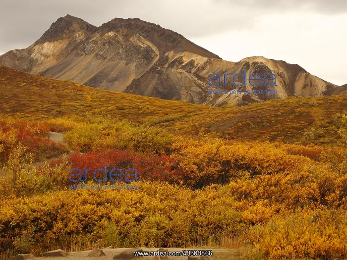 : Blick vom Polychrome Pass in den NP OLYMPUS DIGITAL : Blick vom Polychrome Pass in den NP OLYMPUS DIGITAL