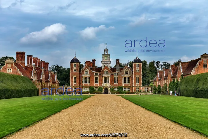 : Blickling Hall - Norfolk - UK : Blickling Hall - Norfolk - UK