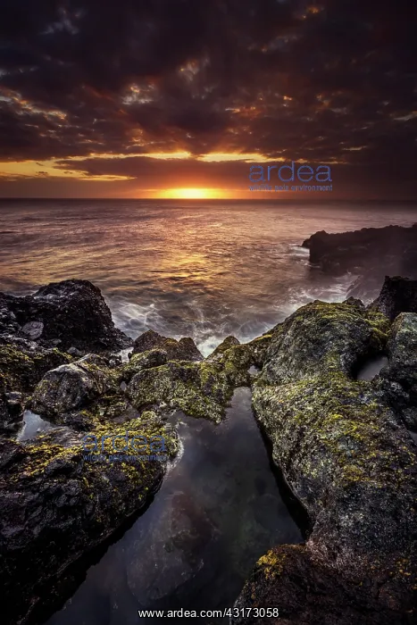 : The Blower of Saint-Leu at sunset, La Reunion : The Blower of Saint-Leu at sunset, La Reunion
