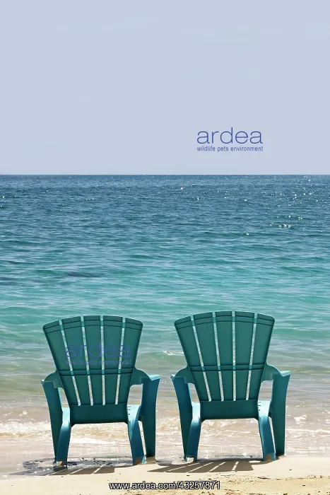 : Blue Beach Chairs, Cat Island in Bahamas : Blue Beach Chairs, Cat Island in Bahamas